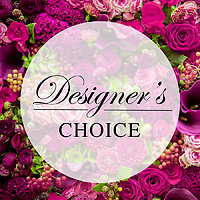 Designers Choice