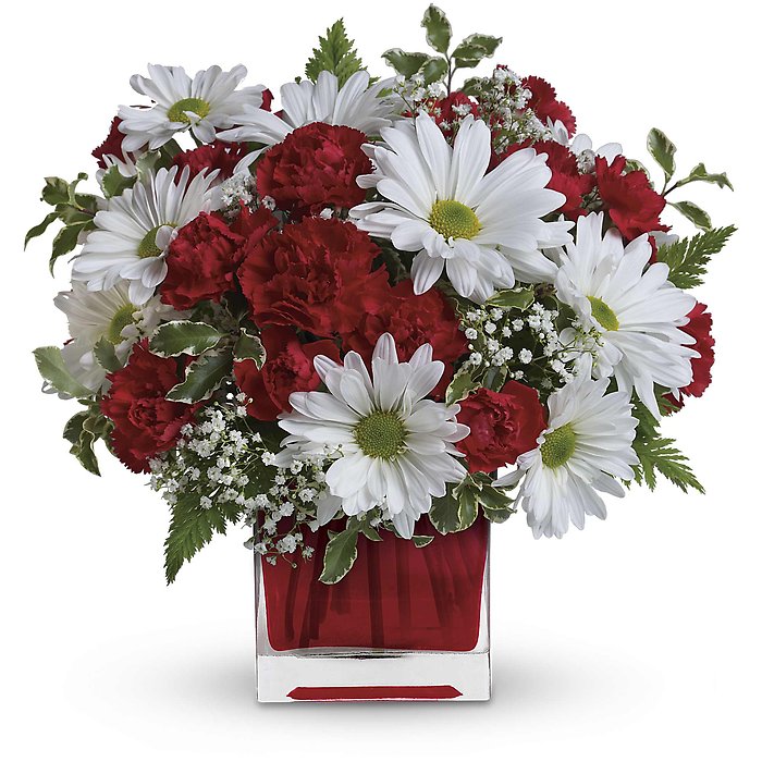 Red And White Delight