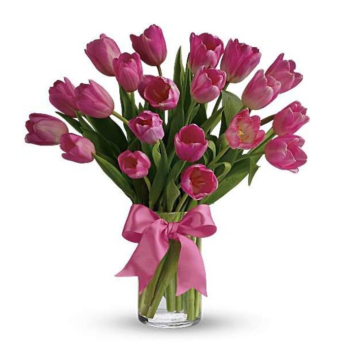 Pink Promise Tulips