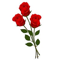 Fly Away Birthday Bouquet