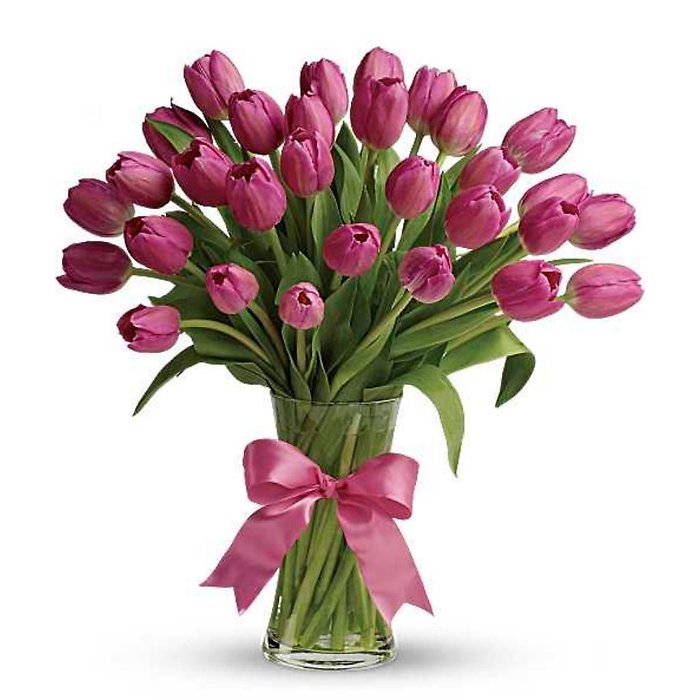 Pink Promise Tulips