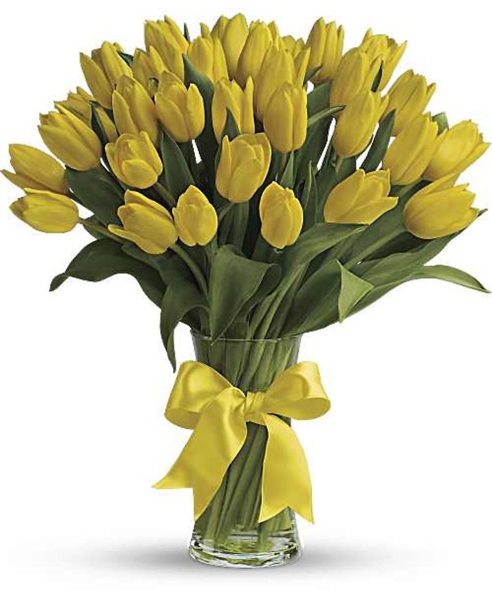 Yellow Tulips