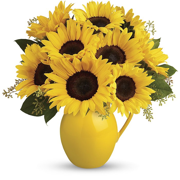 Sunny Day Pitcher of Sunflowers
