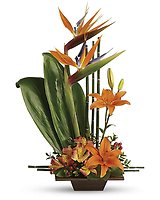 Teleflora's Exotic Grace
