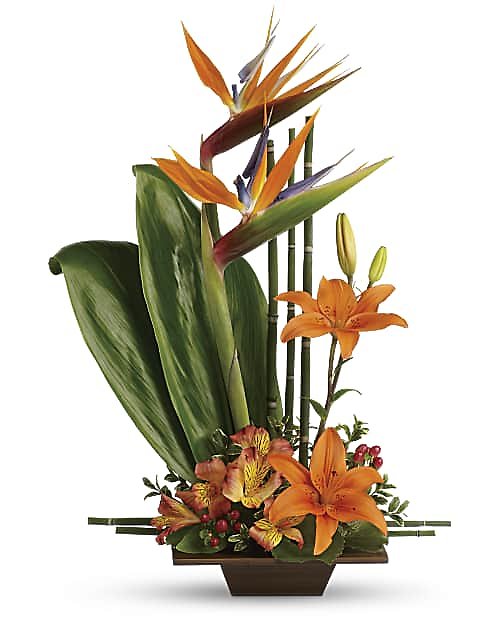 Teleflora\'s Exotic Grace