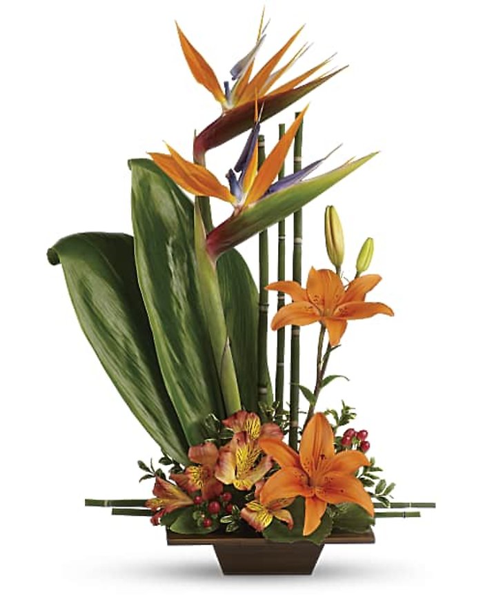 Teleflora\'s Exotic Grace