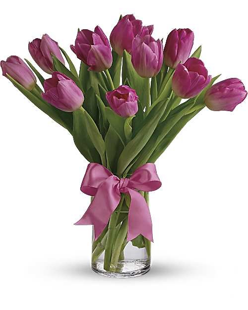 Pink Tulips