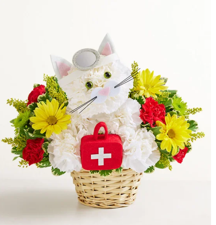 Cure-All Kitty