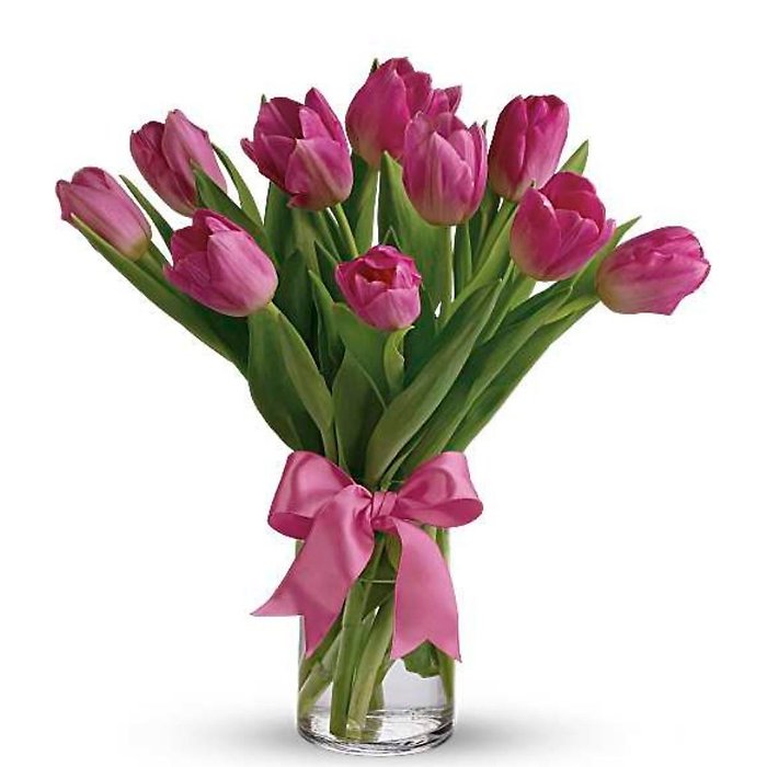 Pink Promise Tulips