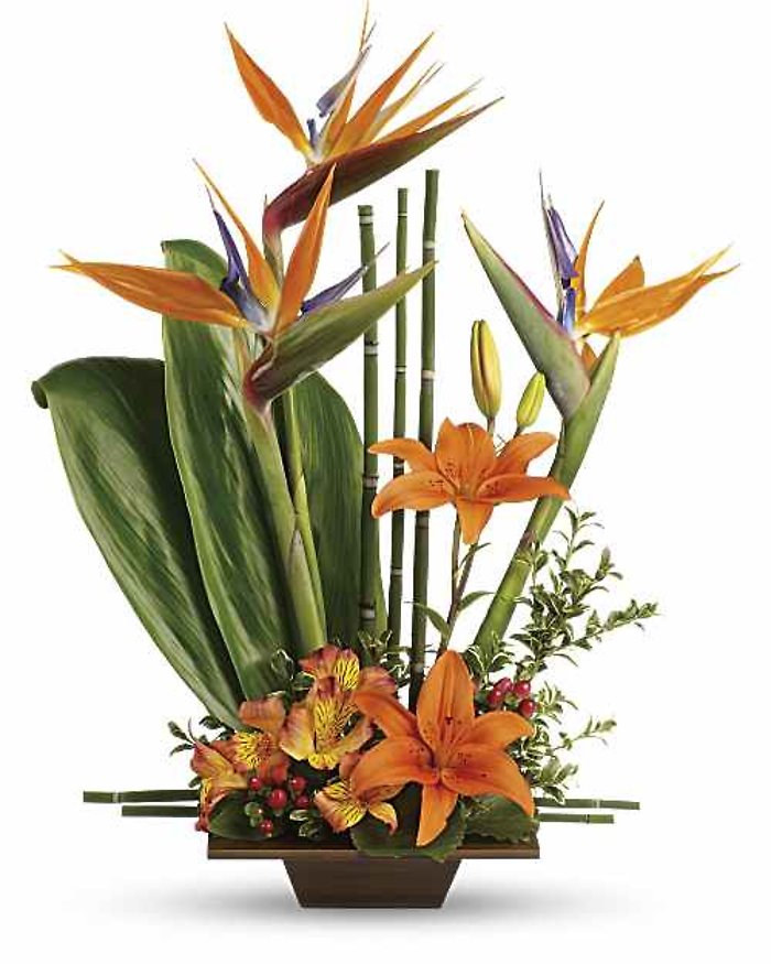 Teleflora\'s Exotic Grace