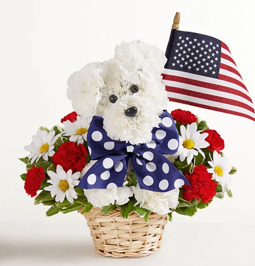 Yankee Doodle Doggie