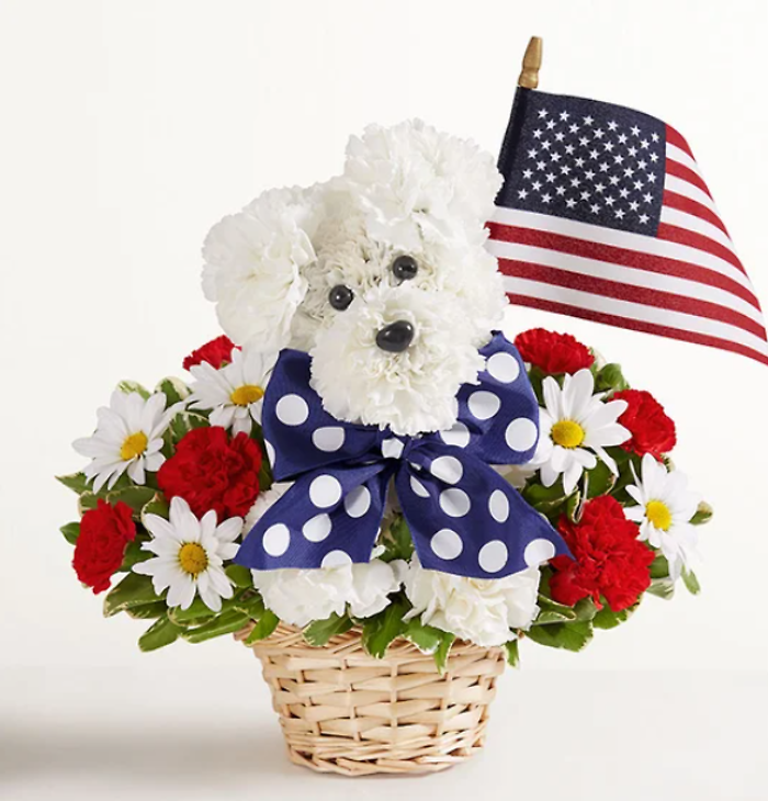 Yankee Doodle Doggie