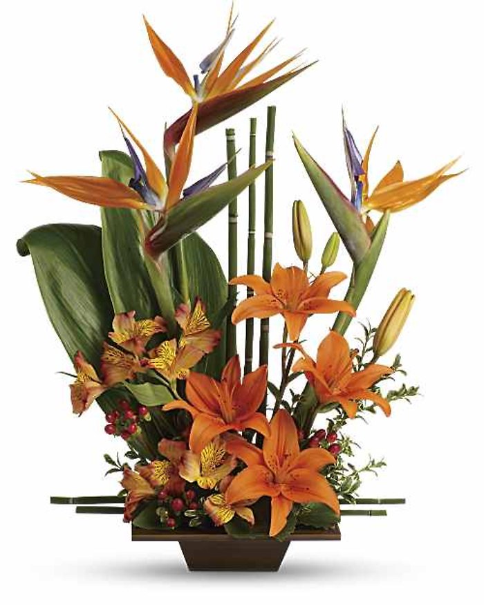 Teleflora\'s Exotic Grace