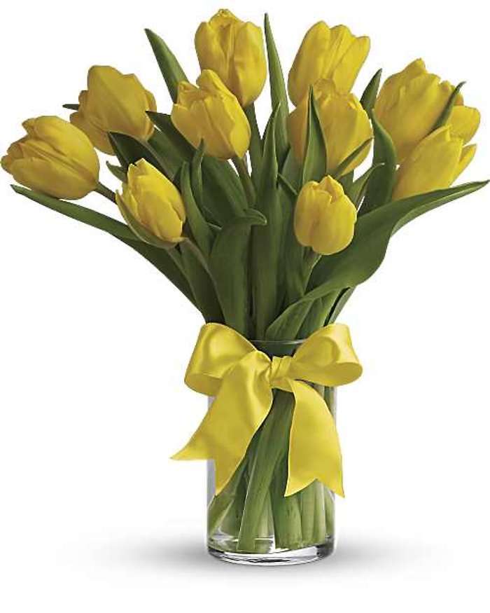 Yellow Tulips